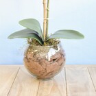 Arranjo De Orquídea Branca De Silicone No Vaso De Vidro | For